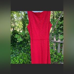 Sandra Darren Lace Maxi. Size 10